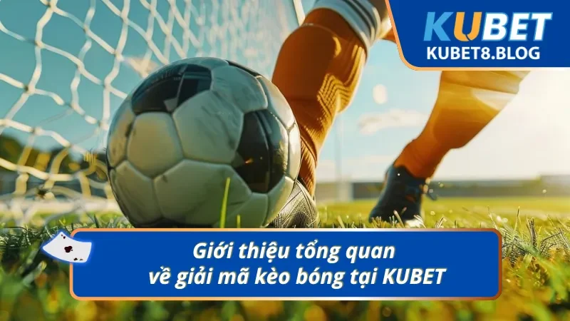 Giới thiệu tổng quan về giải mã kèo bóng tại KUBET