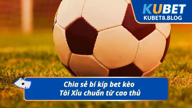 Chia sẻ bí kíp bet kèo Tài Xỉu 2 trái từ cao thủ