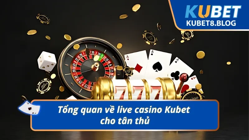Giới thiệu chi tiết về live casino Kubet cho Newbie