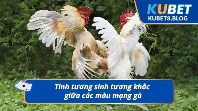 Sự vận hành tương sinh tương khắc của các màu mạng chiến kê