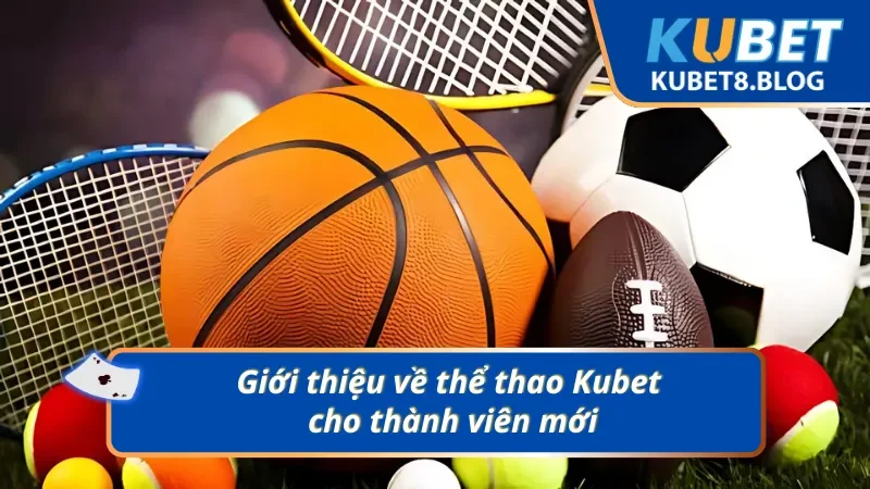 Giới thiệu về thể thao Kubet cho thành viên
