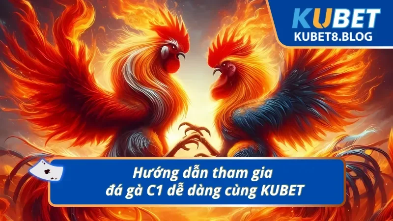 Trải nghiệm xem trực tiếp chọi gà C1 đơn giản tại nhà cái uy tín